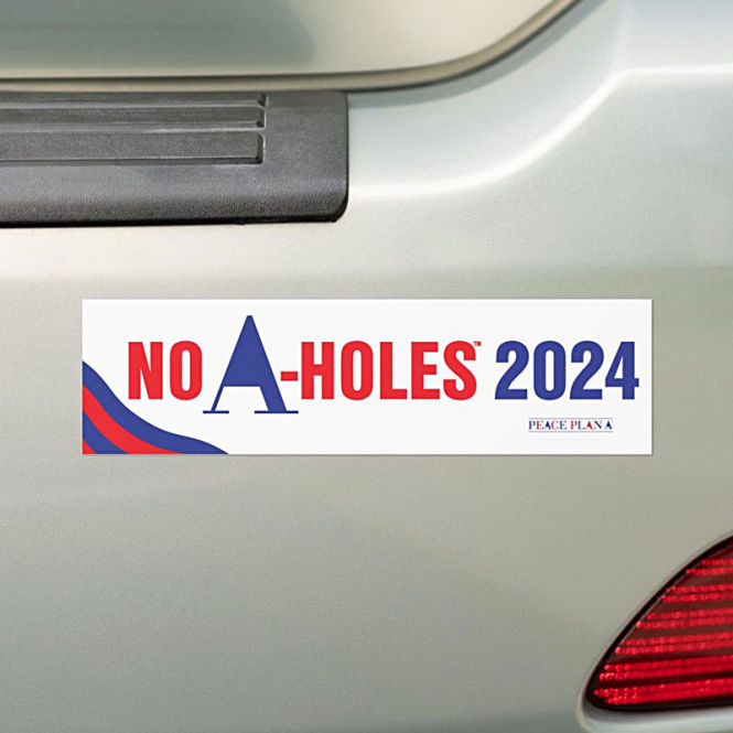 Election 2024 Bumper Sticker No A-Holes 2024